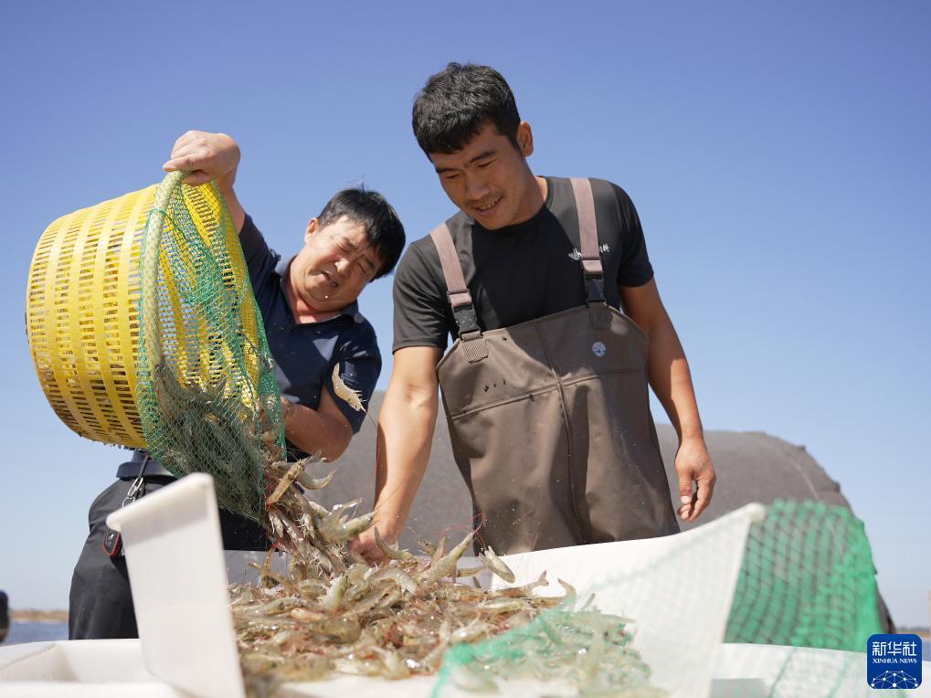捕鱼游戏客户